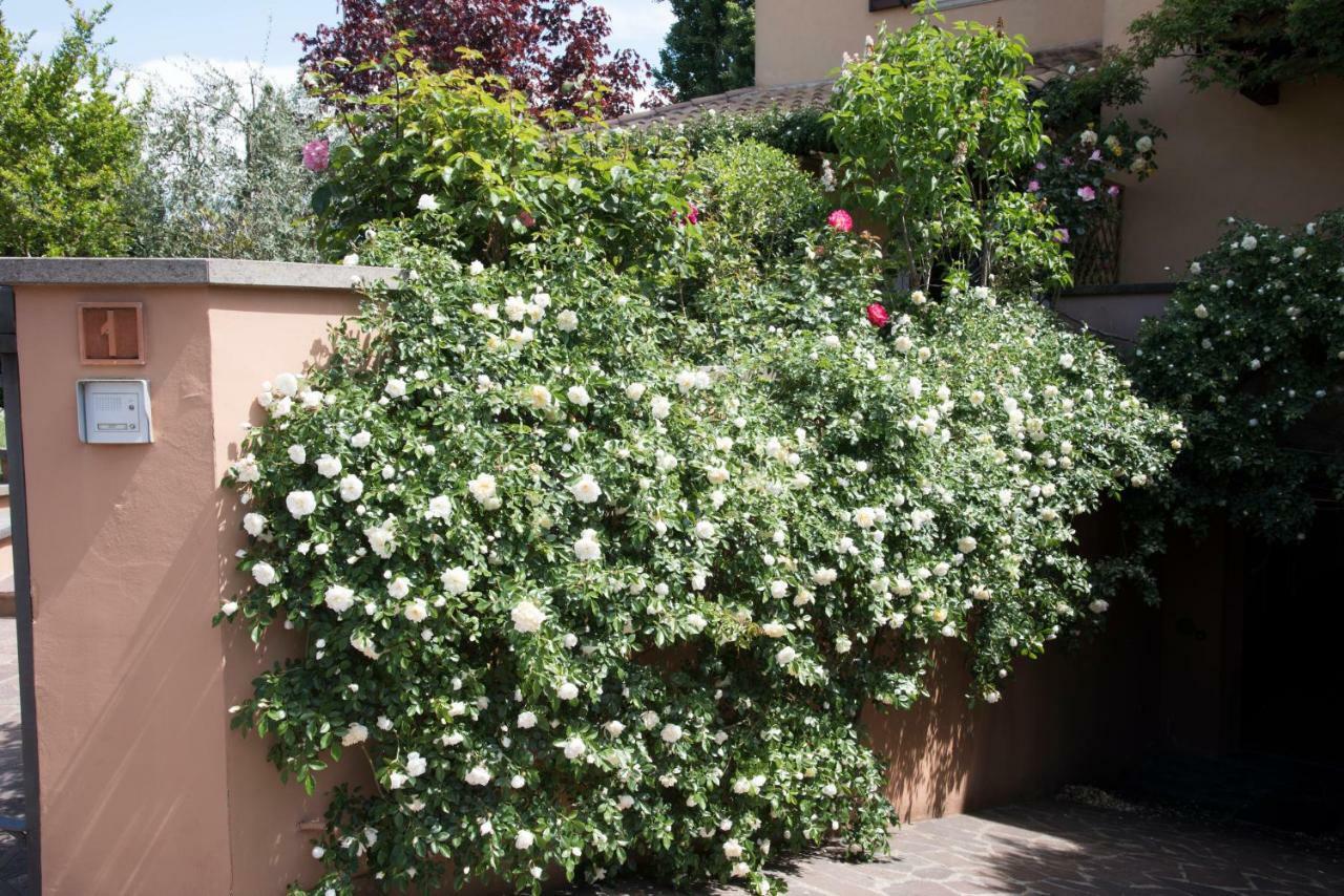 Casa Angolo Delle Rose Orvieto Bagian luar foto